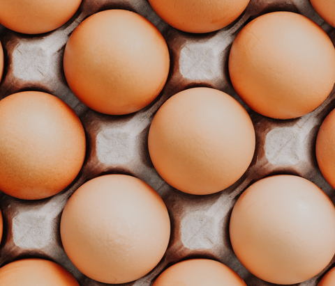 Eggs