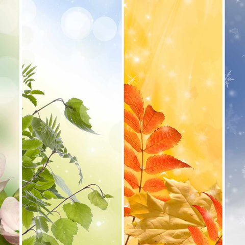 Seasonal Product Image