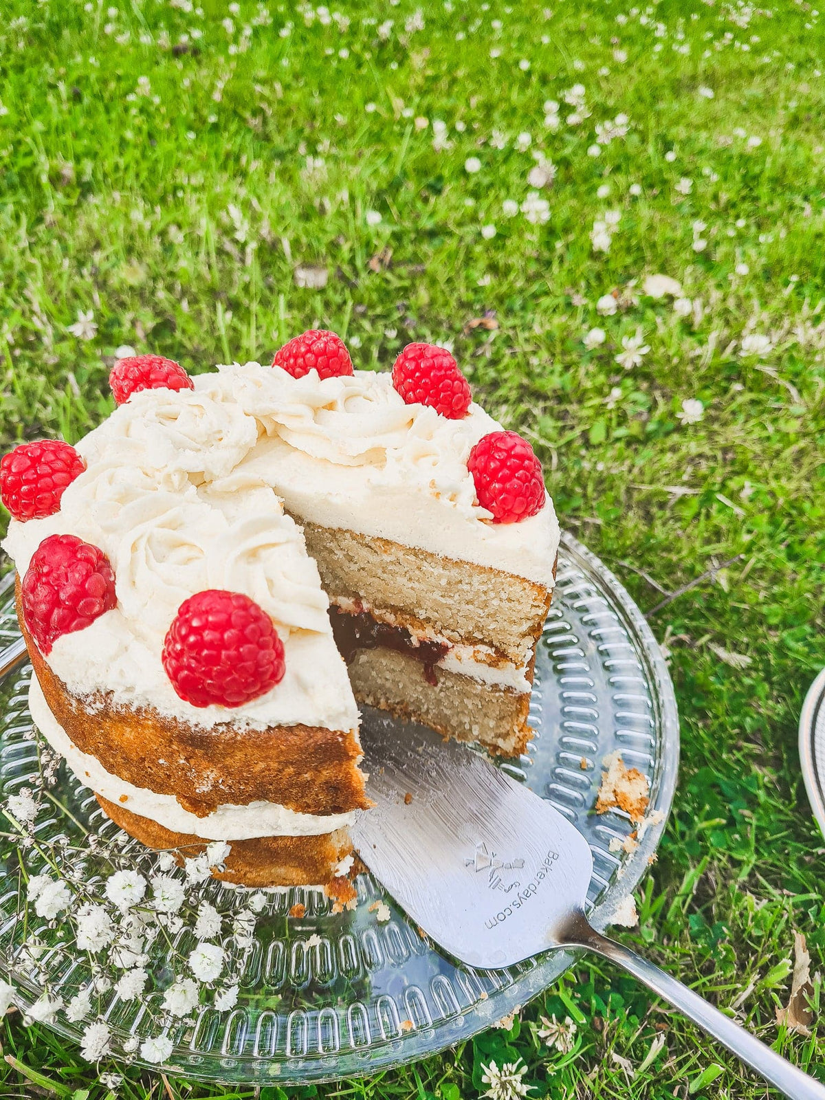 Keto Victoria Sponge - Diabetic Friendly